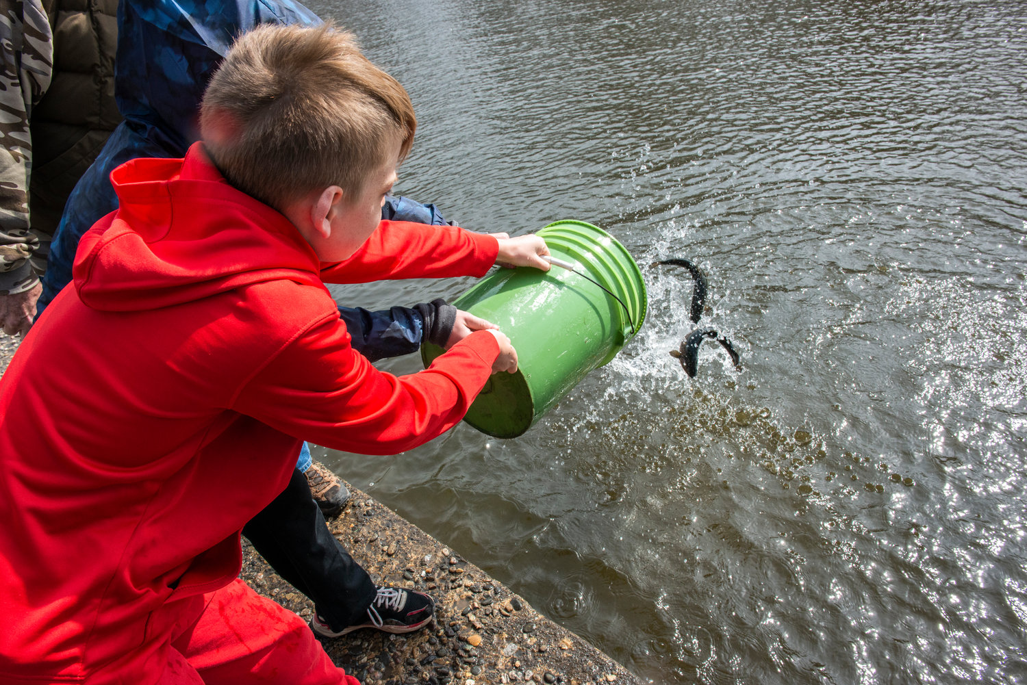 A student tosses fish into the pond.