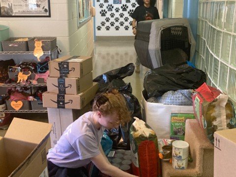 Bucks County SPCA Lahaska Shelter staff member Skyler Handy sorts out donated cat supplies.