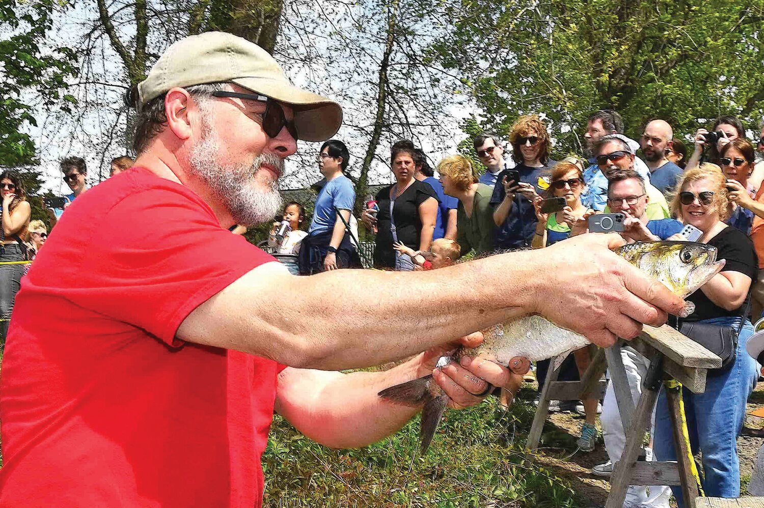 A crew member shows a shad to the crowd.