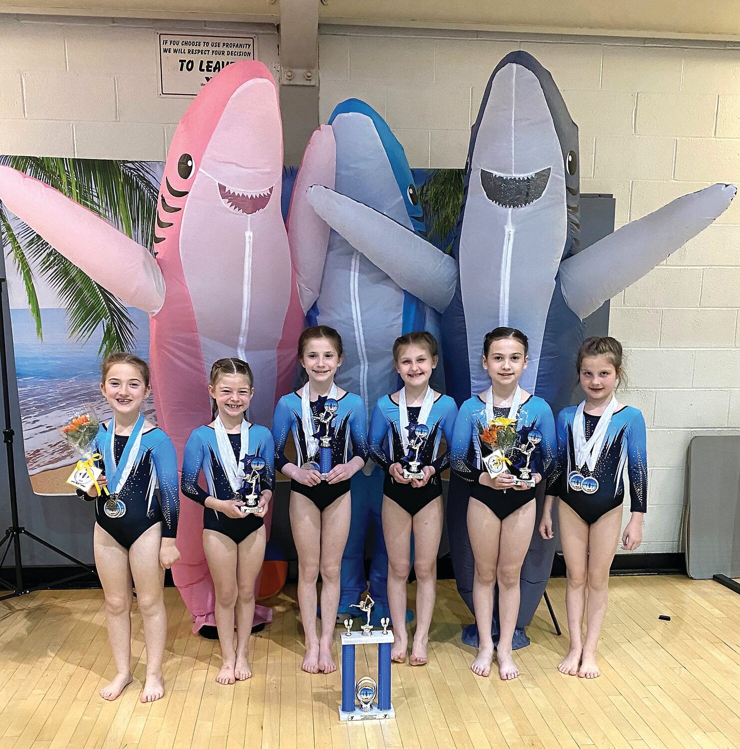 The states Xcel Silver fourth-place team: From left: Caitlyn Day, Nora Steinberg, Zoe Bicksler, Danielle Kenderdine, Elsie Zolnierz and Kenzie Patton.  Missing from photo: Savannah Pappas, Izzy Bleiler, Fairah Bonner, Harper Kemmerer, Brooklyn Seier, Arianna Adams, Hannah Book, Elise Krikory and Lexi Lowry.