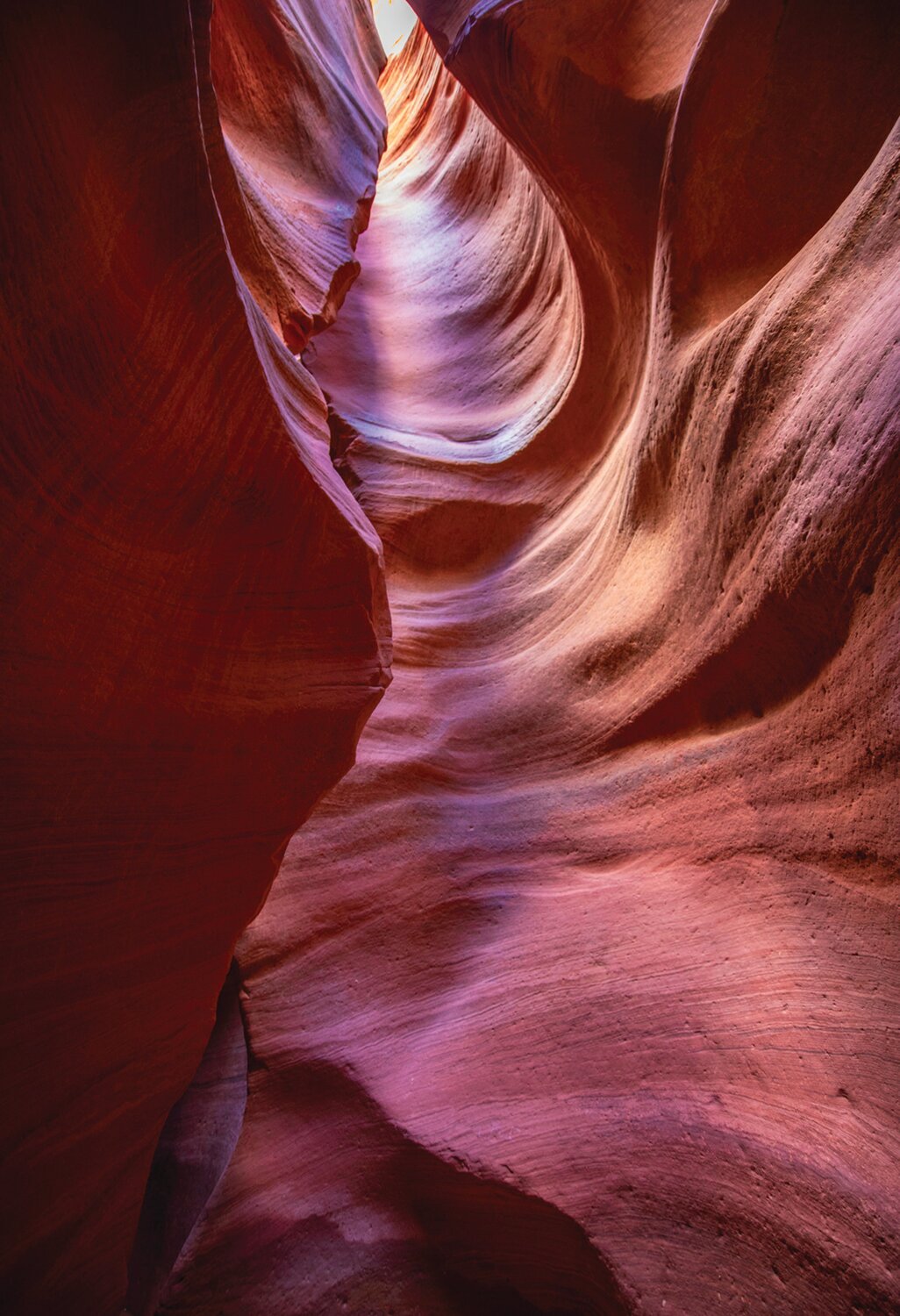 “Slot Canyon” is by David Ackerman.