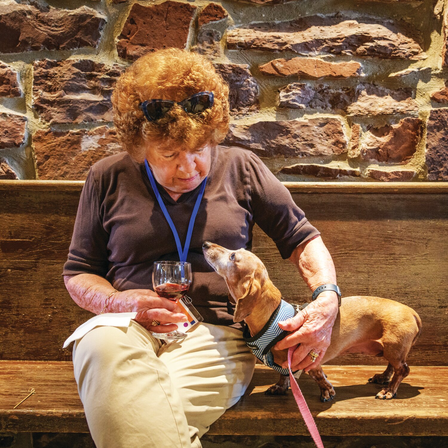 Beanie the dog greets guest Anne Turner. Beanie is one of hundreds of animals rescued through Bucks County SPCA’s animal cruelty investigation efforts each year.