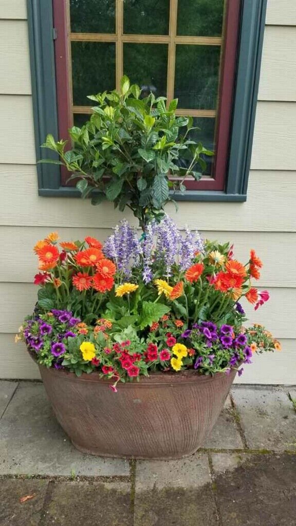 DeFlavis specializes in “potscaping.” This is one of her favorites.