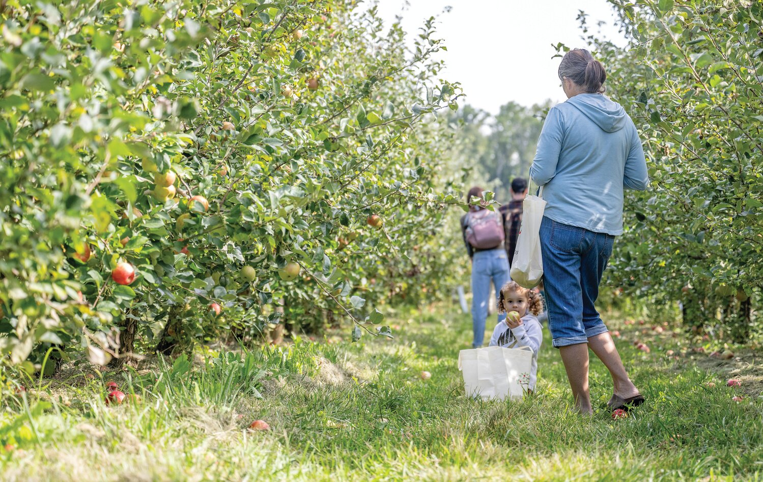 Sophia Depp sits beside Maggie Depp after picking a few apples.