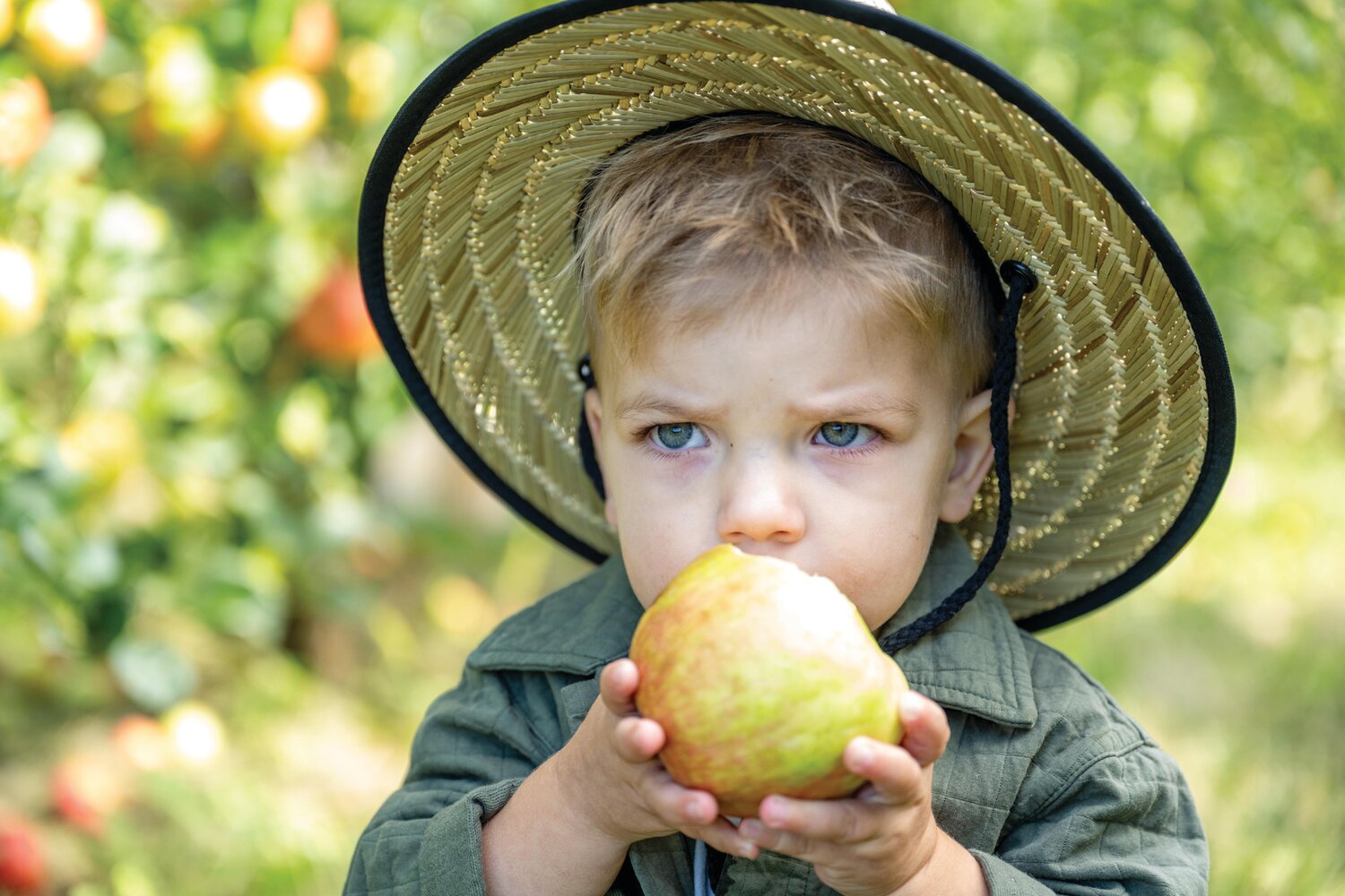 Bjorn Dinesen takes a bite out of an apple that he picked off a tree at Solebury Orchards Saturday afternoon.