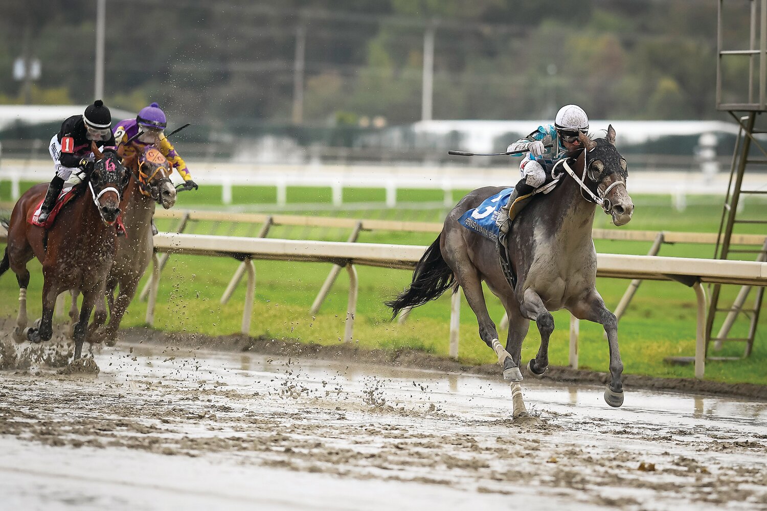 Jockey Abner Adorno on King Kumbalay gallops away from the pack in the homestretch in race No. 9.