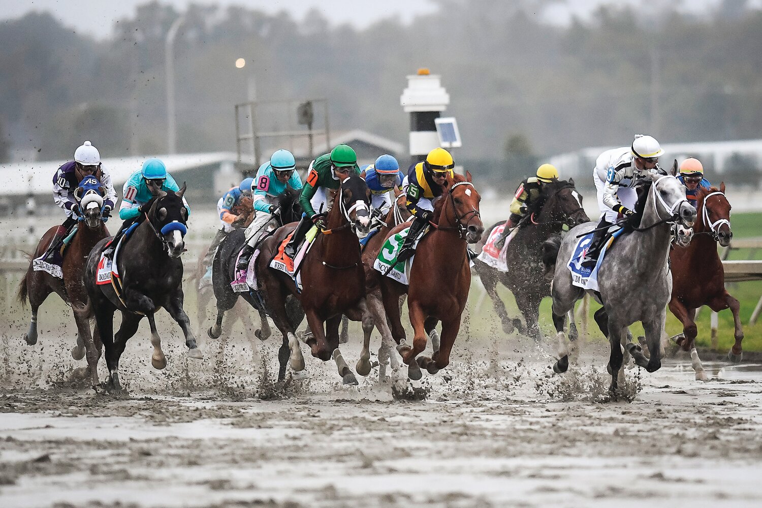 The opening stretch of the PA Derby.