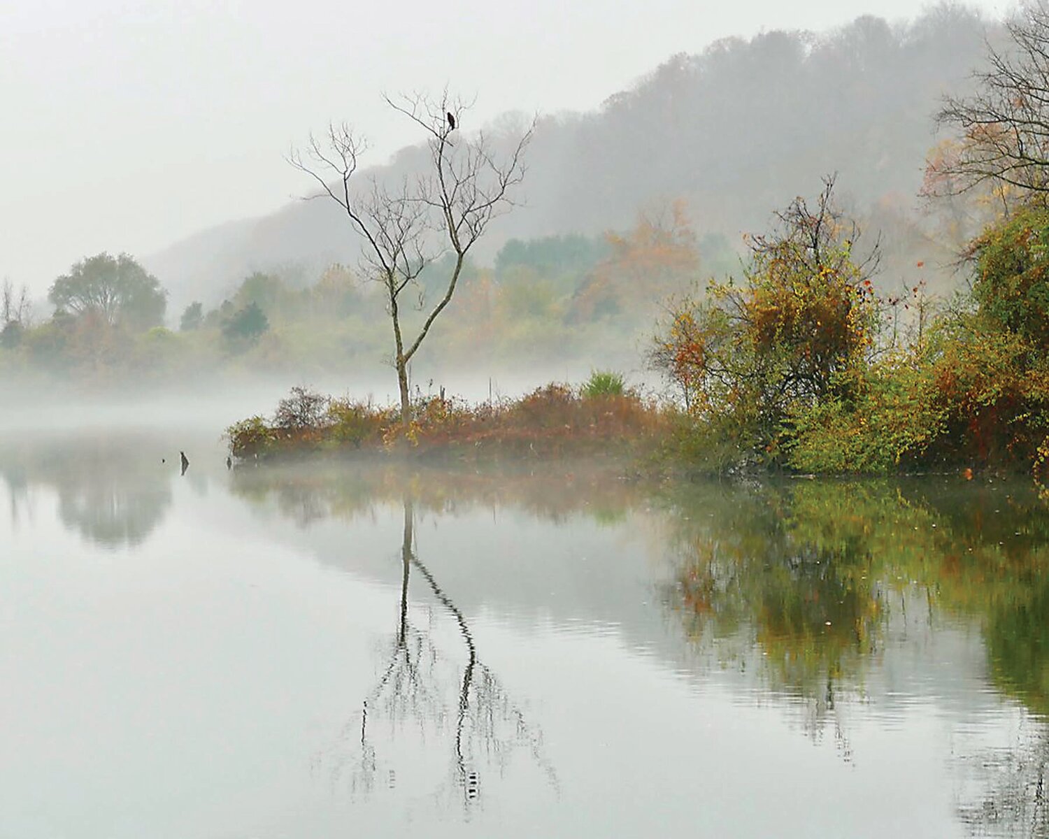 “Dreamscape” is by Susan Hollenback.