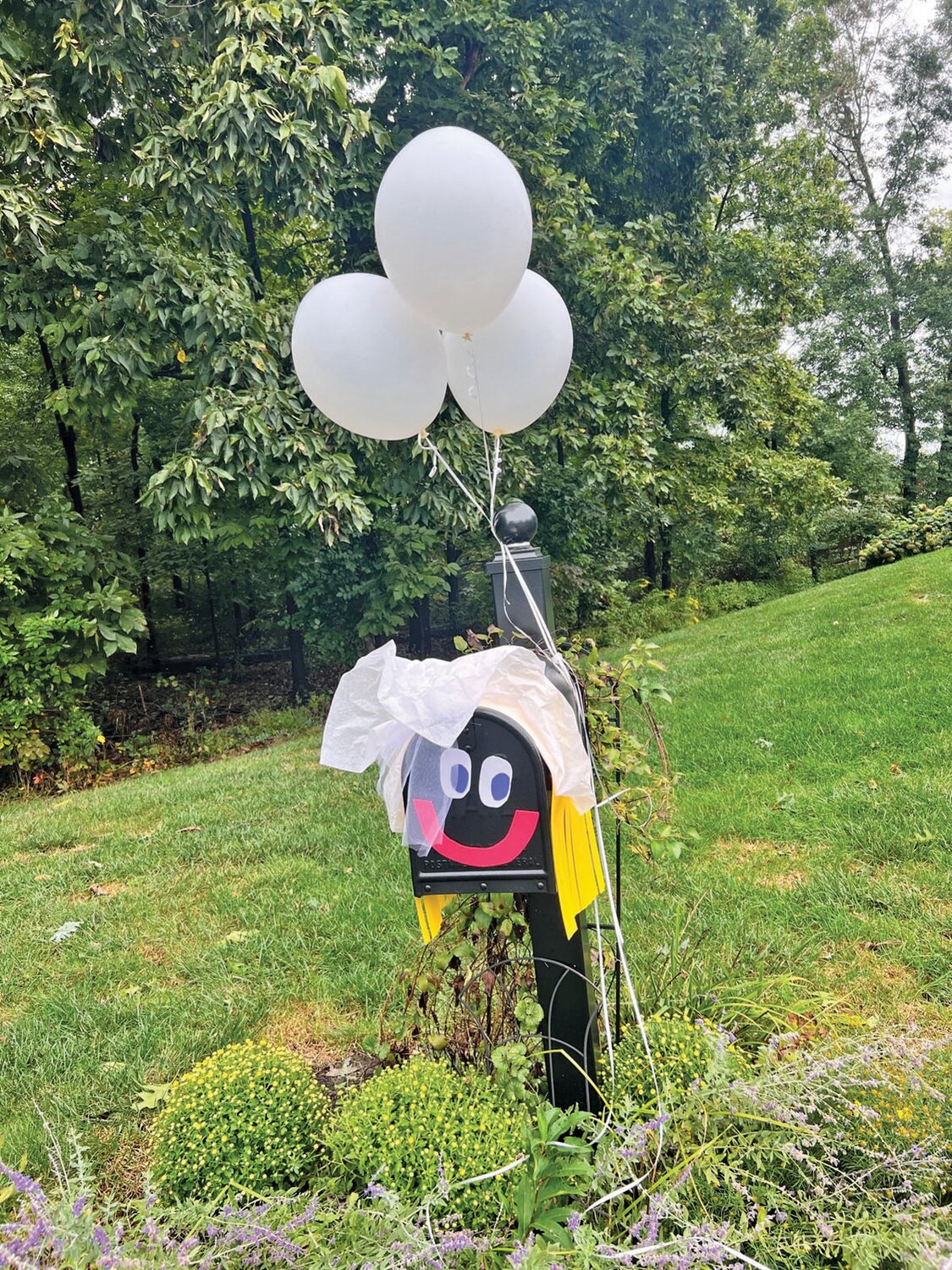 A mailbox dressed as a blushing bride greeted U.S. Postal Worker Erin Cass, who recently got engaged.