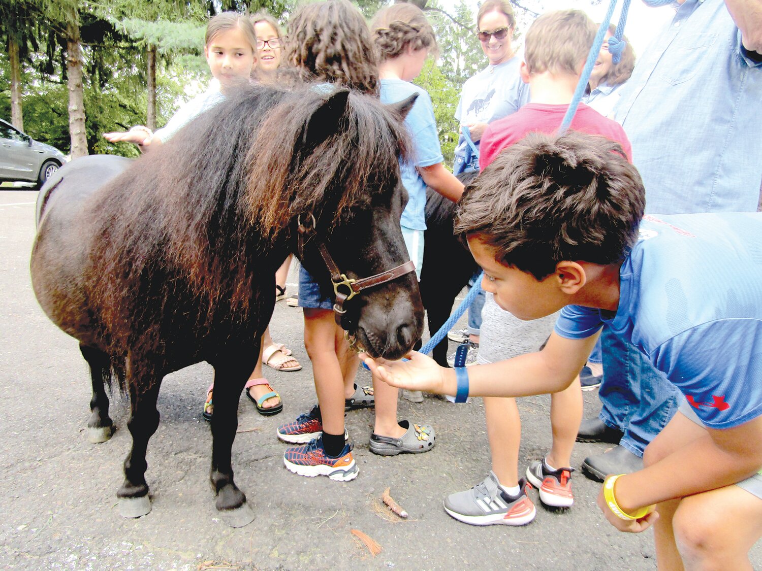 Activities at Camp Feeling Better included a visit from ponies on Sunday July 30.