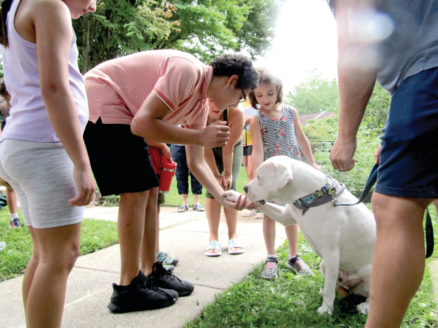 Participants at Hands Holding Hearts’ annual summer bereavement camp received a visit from a therapy dog.