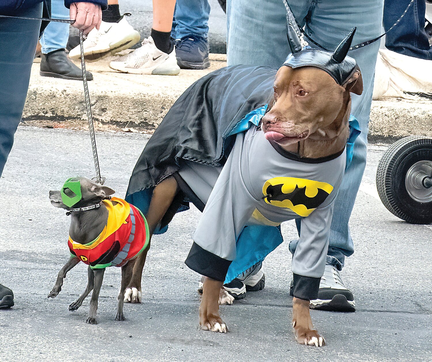 Luca as Batman and Bullet as Robin.