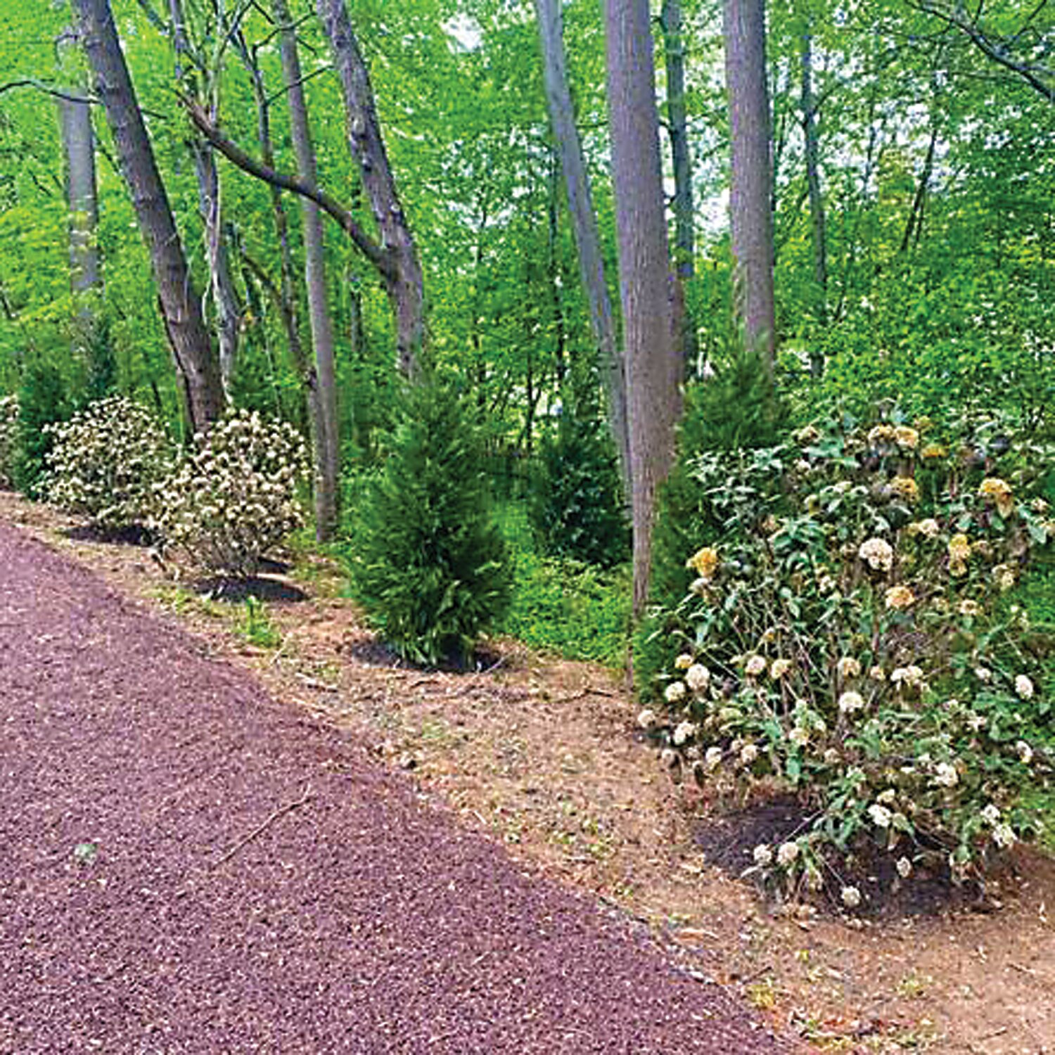 Buckingham Mountain Bike & Hike Path.