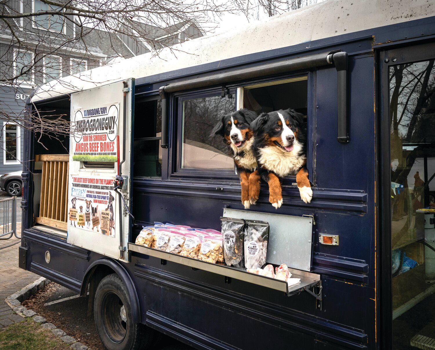 Bunny and Diesel mind TheDogBoneGuy’s stand.