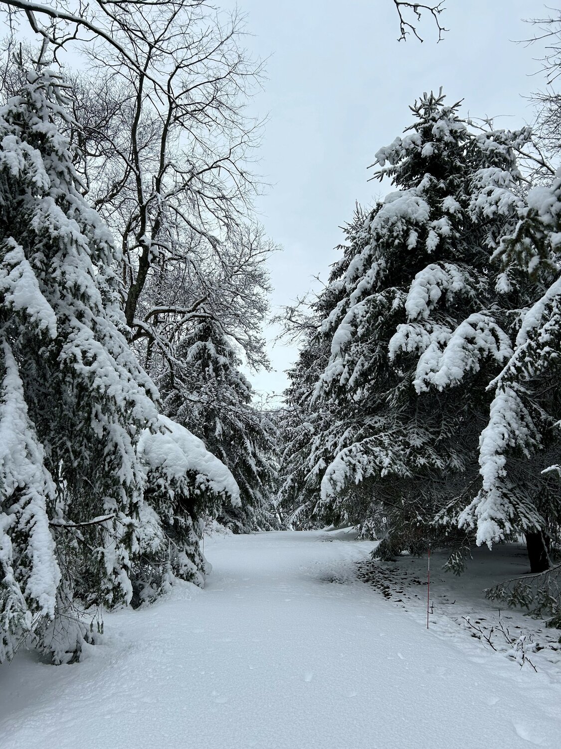 A snow-covered path stretches out across the Solebury countryside.