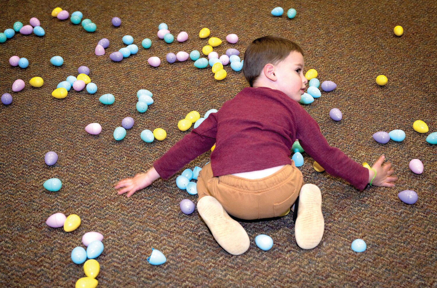 William Faillace employs a two-handed scoop method of egg collection.