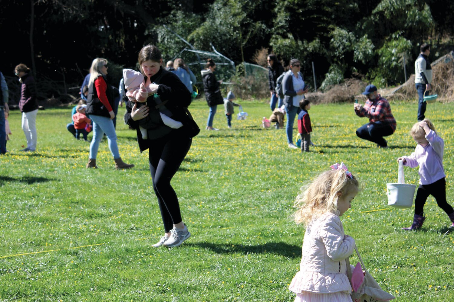 Eyes on the ground, children search for hidden eggs.