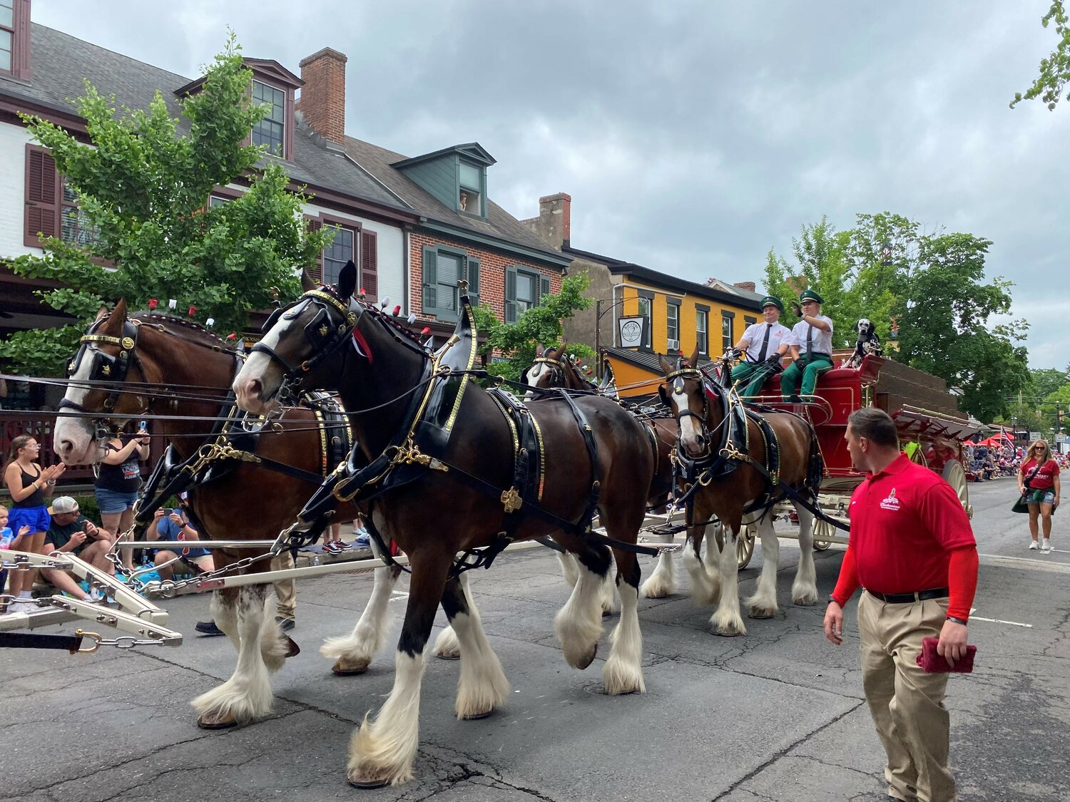 The Budweiser Clydesdales were a big attraction at Doylestown’s Memorial Day Parade.