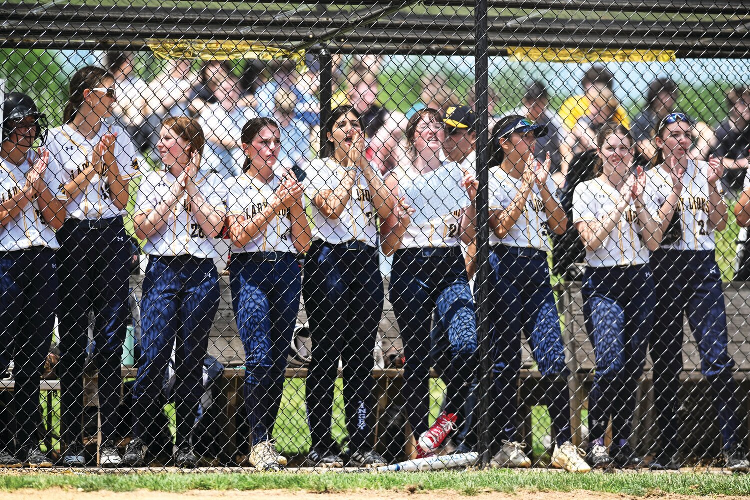 New Hope-Solebury bench players during a fourth-inning rally in Friday’s PIAA play-in game. The Lions eventually fell to Palisades 5-4.