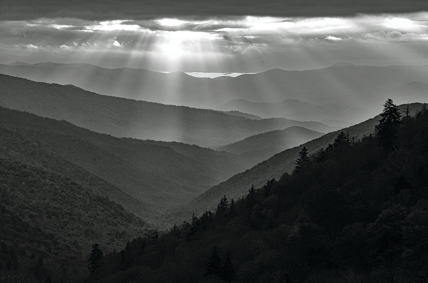 Dianne Rose’s “Smokies Sunset” took third place in the Landscape category.