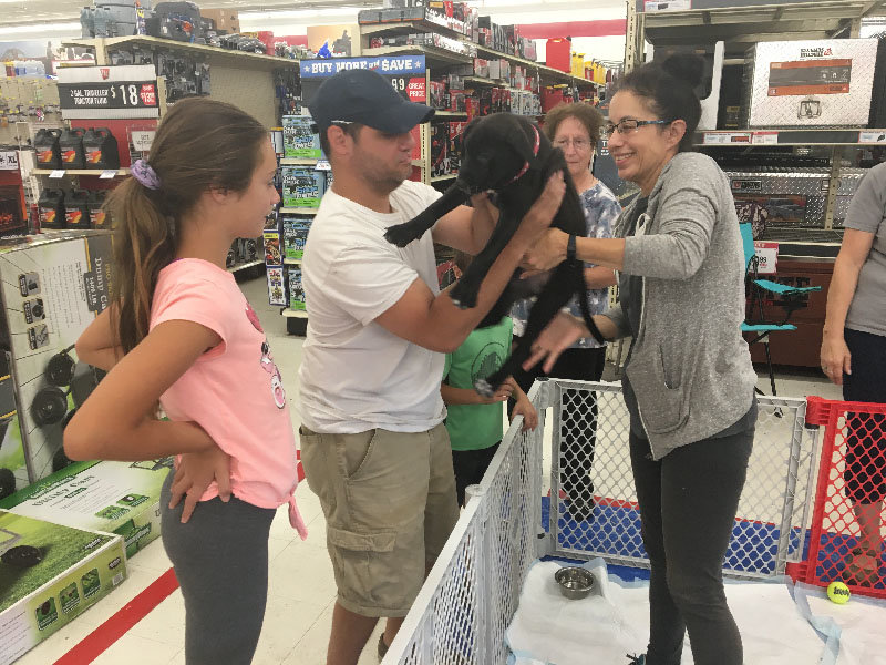 tractor supply microchipping