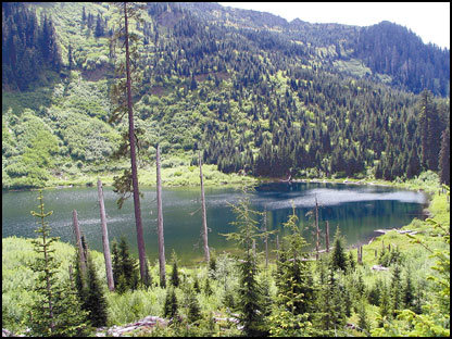 Buddy Rose / The Chronicle Getting to Watch Lake, above Randle, isn't easy. There are drivable roads leading to the 15-acre high lake, but they are owned by private timber companies and access is strictly controlled. A Forest Service road ends in washouts and overgrowth about 3 1/2 miles from the lake, leaving only hiking, a trail bike, or a four-wheeler for access. When a person does get to Watch Lake, the reward is solitude, clear water, and a chance at Montana black spotted trout that seldom see a fly or artificial lure.