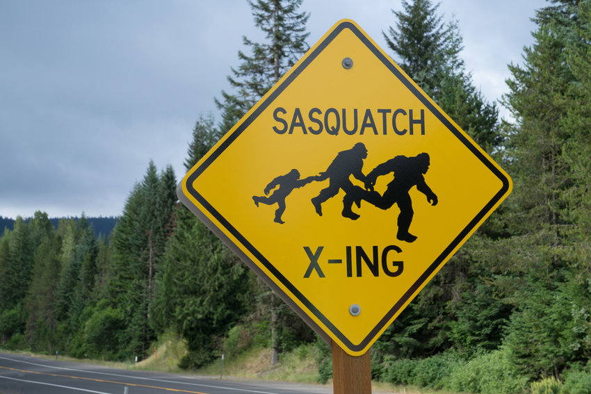 A Sasquatch crossing sign in the Oregon wilderness. (Paul Brady/Dreamstime/TNS)