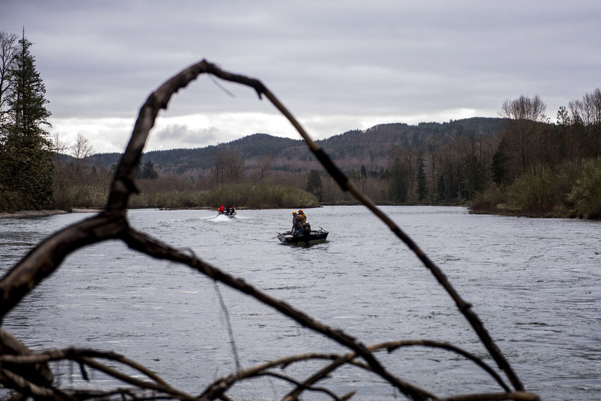 Boat anglers drift downriver from Blue Creek on the Cowlitz River in March 2018.