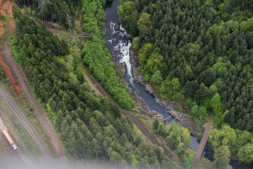A log truck drive along a gravel roadway near the Chehalis River and proposed dam site upstream of Pe Ell ion 2022.