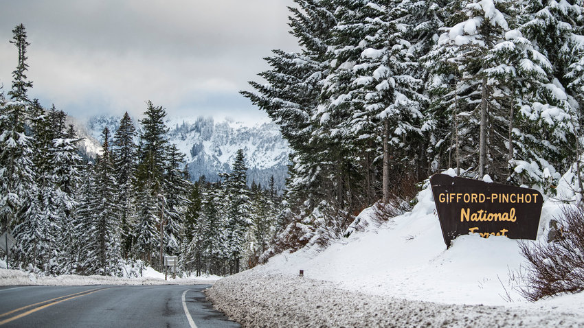 A sign for the Gifford Pinchot National Forest sits beside U.S. Highway 12 near White Pass Ski Area in 2022.