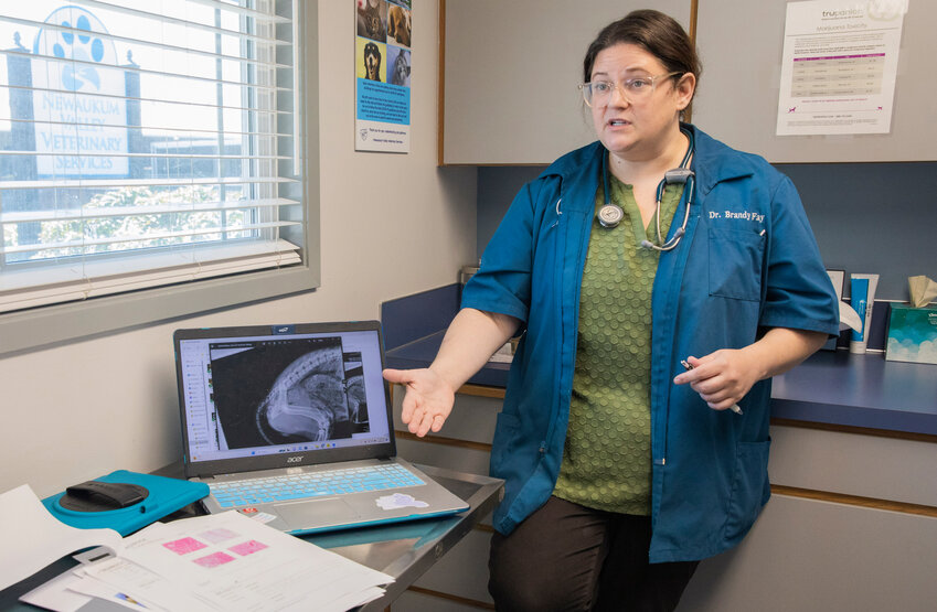 Dr. Brandy Fay &mdash; who has over a decade of experience in veterinary work with law enforcement including K9 care and animal cruelty investigations &mdash; explains inconsistencies between two necropsies done on Buzzo the dog and shows X-rays taken by the Thurston County Coroner&rsquo;s Office on the dog. The Lewis County Coroner&rsquo;s Office does not have X-ray equipment, so usually, X-rays are taken at Providence Centralia Hospital. Because these were for an animal, though, Buzzo was sent to Thurston County.