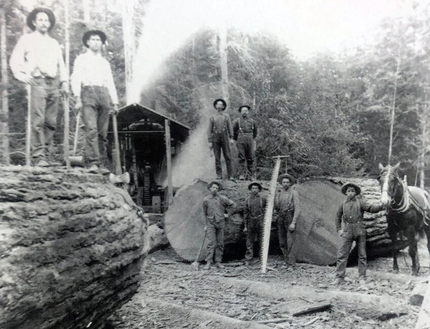 Brown Mill at Napavine is pictured in 1910. At left are Wendell Hammond and Jim Allison. In the background on the log are Thurston Reynolds and Arthur Brown. Below them are an unknown person, John Johnson, Emil Lentz and Charles Lentz (with horse). The mill was founded by Carroll L. Brown, who came to Washington from Maine in 1877. The mill started out at 5,000 feet and later expanded to 20,000 feet. Later it became known as Coal Creek Lumber Company. This photo and information was originally submitted by Eric J. Wilson for Our Hometowns.