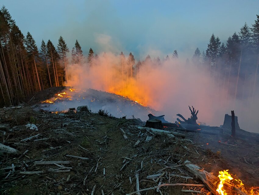West Thurston Union Firefighters shared these photos of the Saturday night blaze on Facebook.
