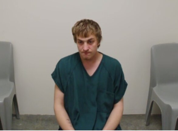 Aunalisa Delories Rose Dodds, 22, and Zacheriah Shawn Dunivin, 23, both of Winlock, appeared in Lewis County Superior Court on Thursday, June 1.