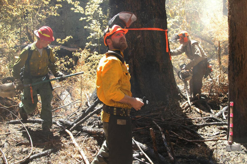Devil's Ridge Fire Module crew members dig up hot spots at the Iron Creek Fire.