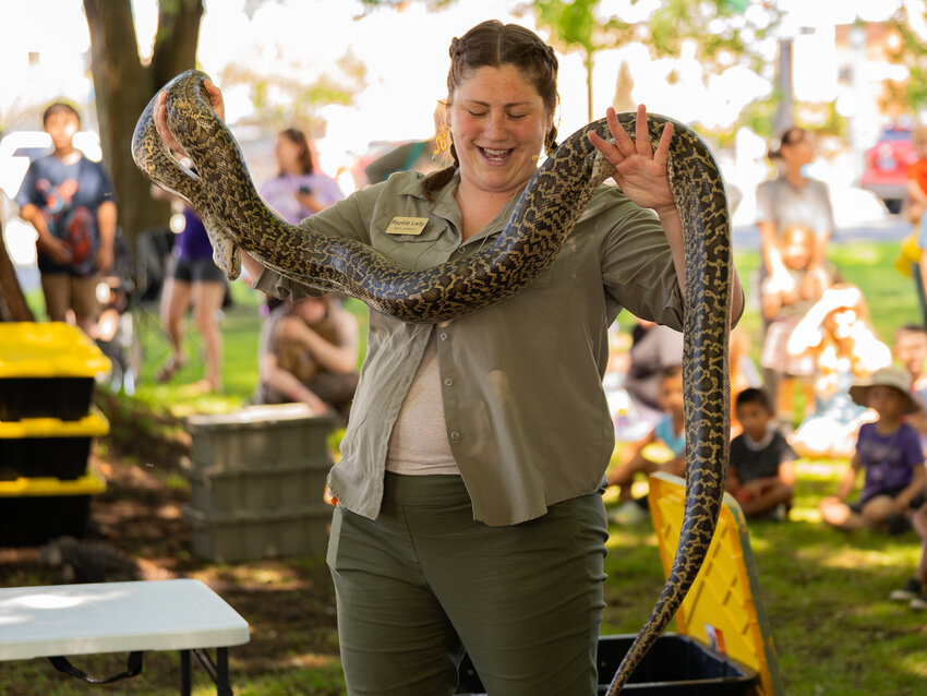 April Jackson, the Reptile Lady carries a Burmese Python during a reptile show at the Timberland Regional Library in Centralia on Thursday, July 13, 2023