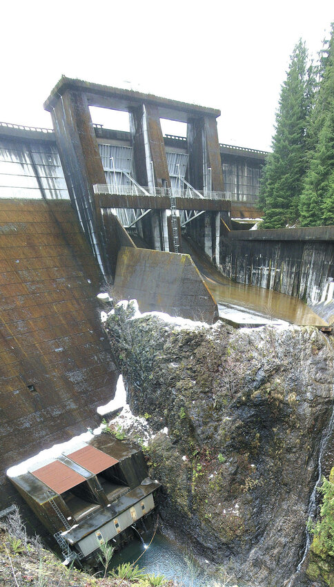 Grays Harbor Fire District 2 and Thurston County&rsquo;s Special Operations Rescue Team worked together to rescue a woman after she fell off a 200-foot embankment near the Wynoochee Dam late Wednesday night.