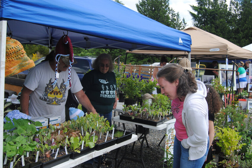 The Yelm Farmers Market will take place from 10 a.m. to 3 p.m. Saturday, Aug. 5 at a new location: in front of the Yelm Police Station on McKenzie Street.&nbsp;