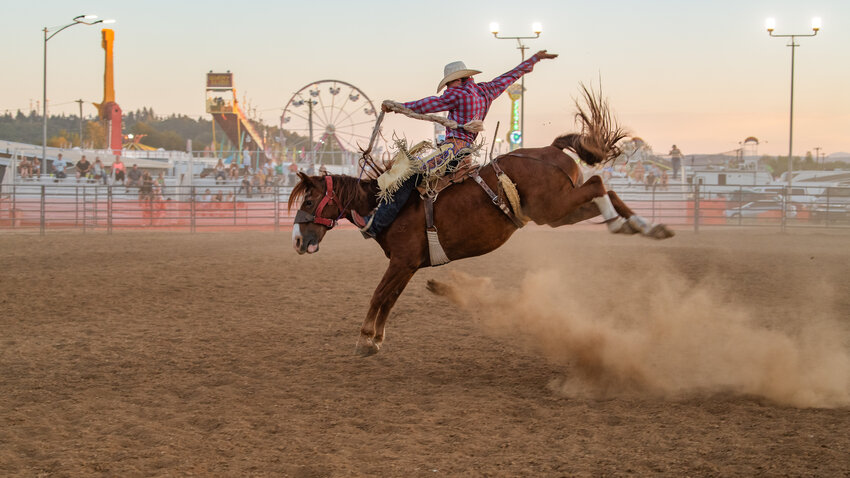 Joseph Wahl rides a bucking bronco during the first day of the rodeo at the Southwest Washington Fairgrounds on Wednesday, Aug. 16.
