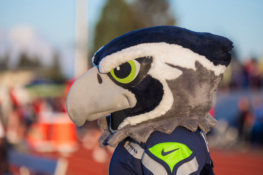 Blitz, the Seahawk mascot, watches a Yelm High School football game on Friday, Sept. 8.