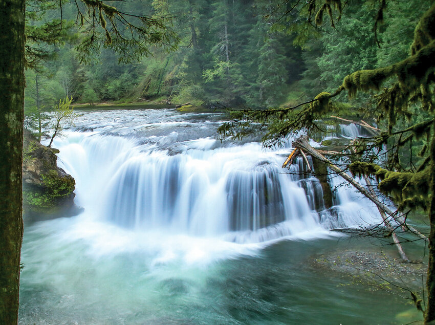 Managers on the Gifford Pinchot National Forest are seeking public input and ideas on actions the Forest Service can take to improve the visitor experience in the Lewis River Recreation Area. Feedback is being accepted through Oct. 27.&nbsp;