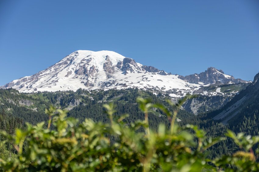 Mount Rainier is pictured from Stevens Canyon Road in Mount Rainier National Park on Monday, July 8.