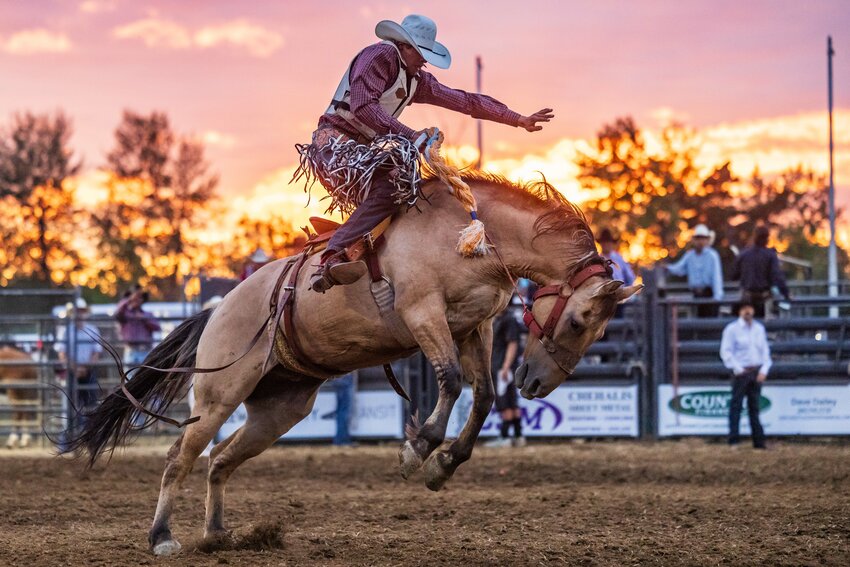 The sun sets as a rider competes in saddle bronc riding during the Lewis County Rodeo at the Southwest Washington Fair on Thursday, Aug. 15.