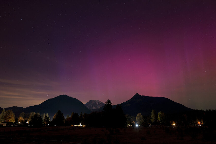 Tom Kogut, Packwood