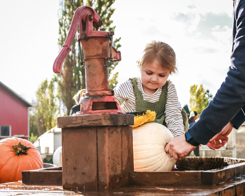 Maya Dunham washes a pumpkin after a fun day with family at the Bi-Zi Farms pumpkin patch in Brush Prairie on Thursday, Oct. 17.