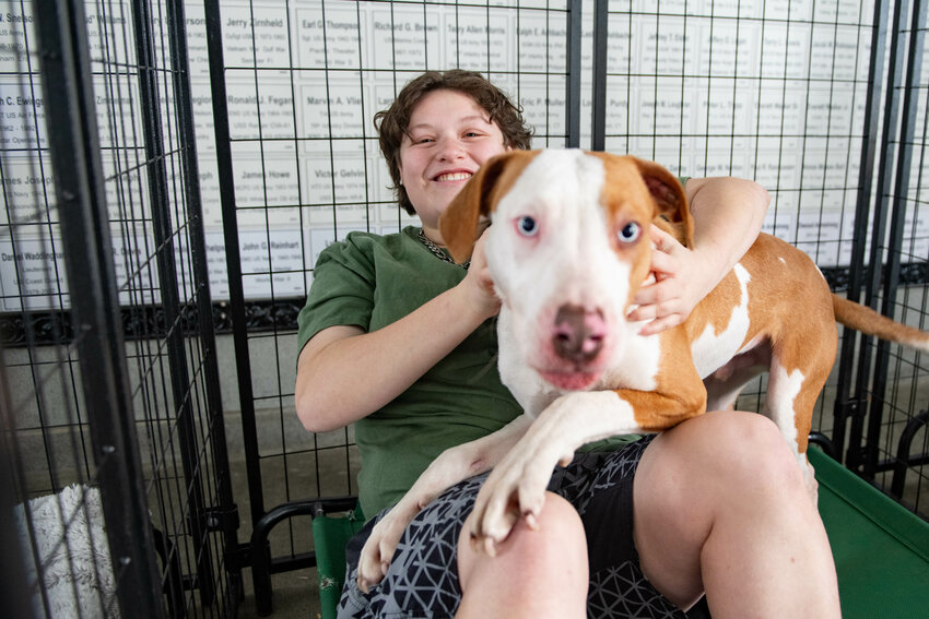 Adriana Wyatt smiles while petting Bruce inside his enclosure during an &ldquo;Operation Adoption&rdquo; event put on by Rochester&rsquo;s Red Rose Animal Rescue and Feisty Felines feral cat rescue at the Veterans Memorial Museum in Chehalis on Saturday, Dec 21.
