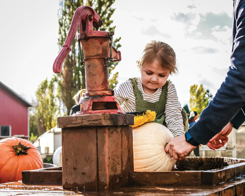 Maya Dunham washes a pumpkin after a fun day with family at the Bi-Zi Farms pumpkin patch in Brush Prairie on Oct. 17, 2024.