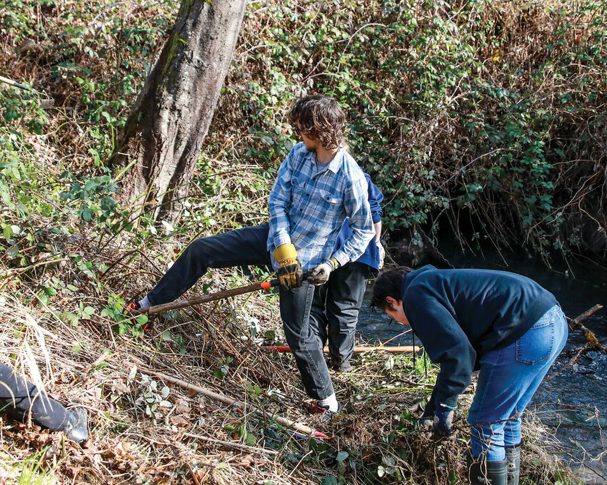 Students participating in the Battle Ground Public Schools Center for Agriculture, Science, and Environmental Education (CASEE) Center receive hands-on experience in environmental science while working on creek restoration.