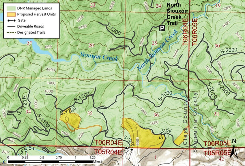 The proposed harvest units of the Dabbler timber sale are highlighted in yellow. The timber sale is located in the area south of Siouxon Creek but away from trails.