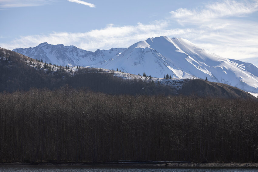 Mount St. Helens is pictured from Coldwater Lake on Thursday, Jan. 23.